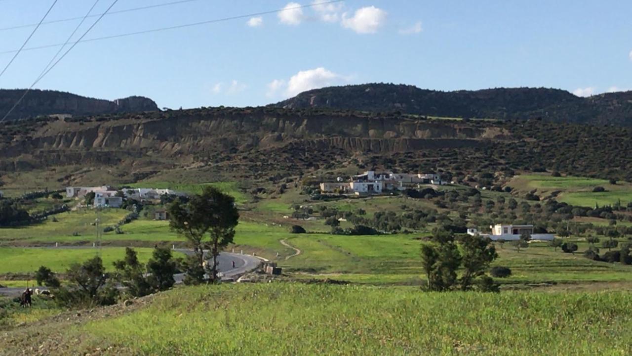 Villa Phoenicia Χαμμαμέτ Εξωτερικό φωτογραφία